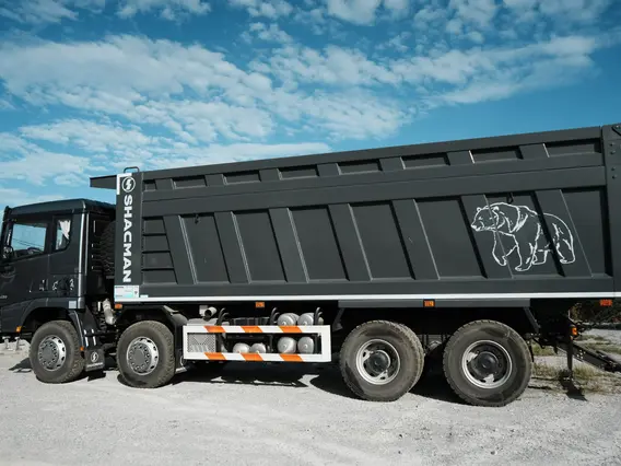 Самосвал SHACMAN X3000 (SX33186V366) 2024 года новый фото 8