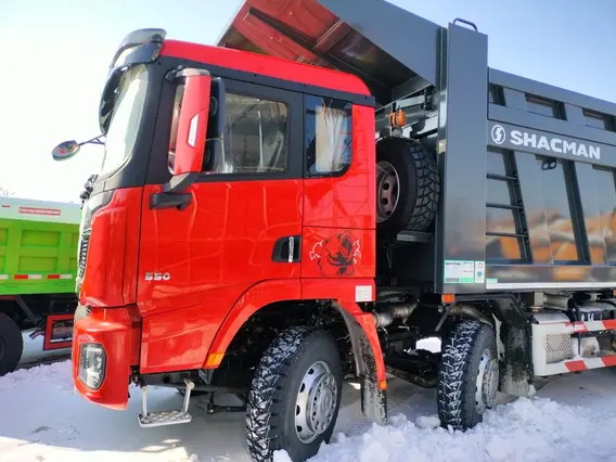 Самосвал Shacman SX331863366 2024 года новый фото 13