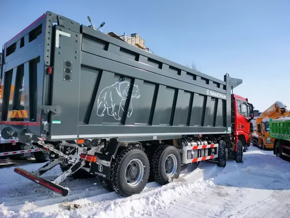 Самосвал Shacman SX331863366 2024 года новый фото 20