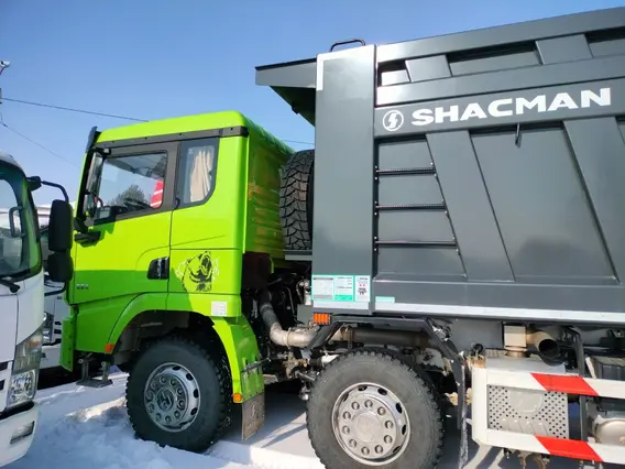 Самосвал Shacman SX331863366 2024 года новый фото 10