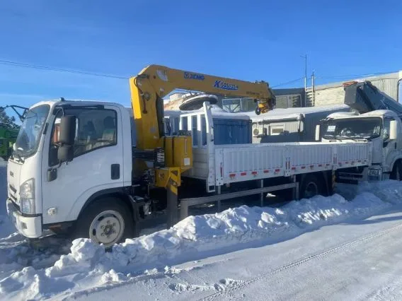 Самопогрузчик ISUZU 700 P 2025 года новый фото 3