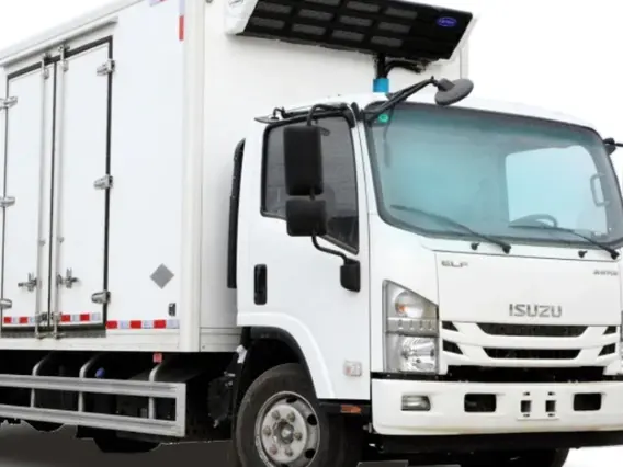 Рефрижератор Isuzu Elf 2025 года новый фото 6