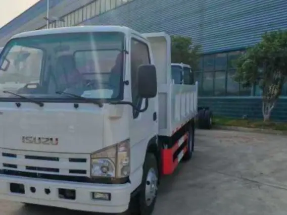 Самосвал Isuzu Elf 2025 года новый