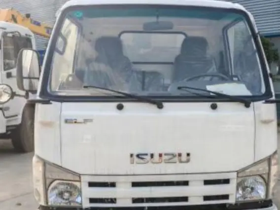 Самосвал Isuzu Elf 2025 года новый фото 2