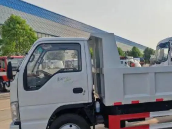 Самосвал Isuzu Elf 2025 года новый фото 4