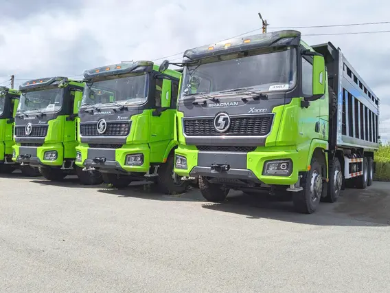 Самосвал Shacman X3000 (SX33186V366) 2023 года новый фото 10