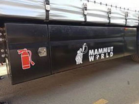 Шторный полуприцеп Mammut CH 240-A 2026 года новый фото 9