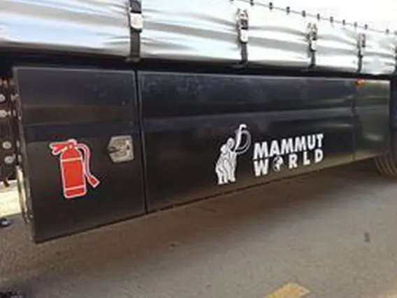 Шторный полуприцеп Mammut CH 240-A 2026 года новый фото 9