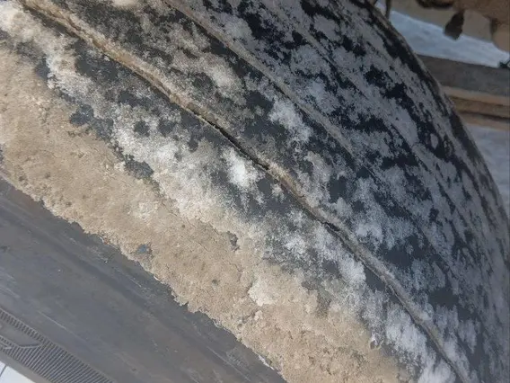 Мусоровоз КАМАЗ 65115 КОММАШ КО-449 2023 года б/у фото 8