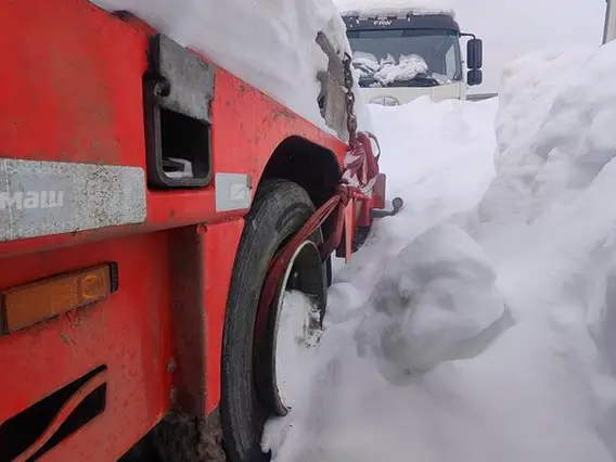 Специализированный, полуприцеп-тяжеловоз ТВЕРЬСТРОЙМАШ 993951 2022 года б/у фото 6