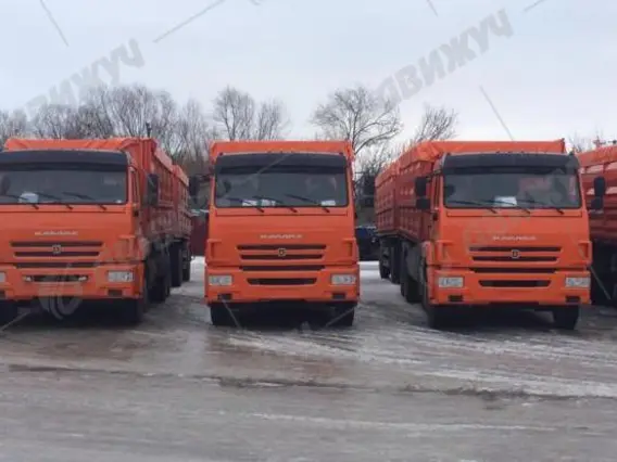 Самосвал сельхозник на шасси КАМАЗ 65115-50 2026 года новый фото 3
