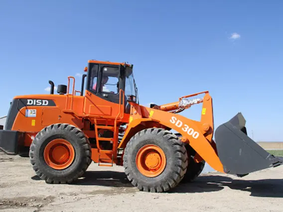 Фронтальный погрузчик DISD SD300 2020 года новый фото 3