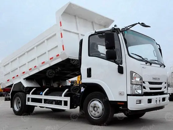 Самосвал ISUZU Elf 2025 года новый фото 5