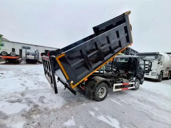 Самосвал ISUZU Elf 2025 года новый фото 15