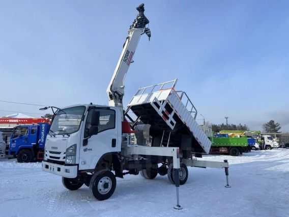 Бортовой грузовик ISUZU Elf 2026 года новый фото 2