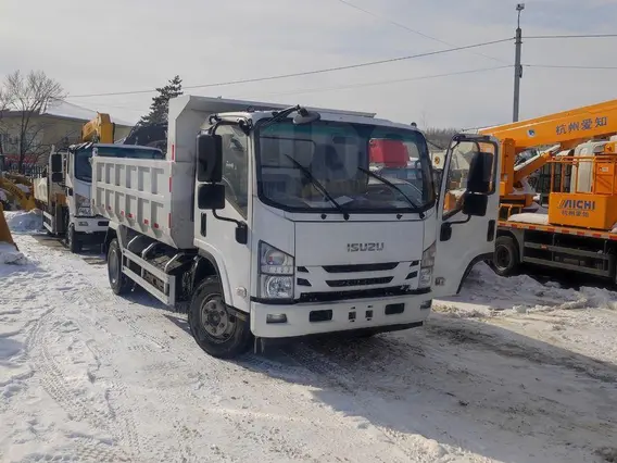Самосвал ISUZU Elf 2024 года новый фото 6