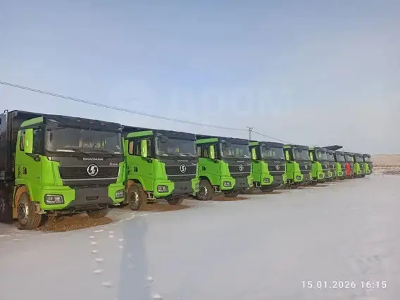 Самосвал Shacman (Shaanxi) SX331863366 2024 года новый фото 3