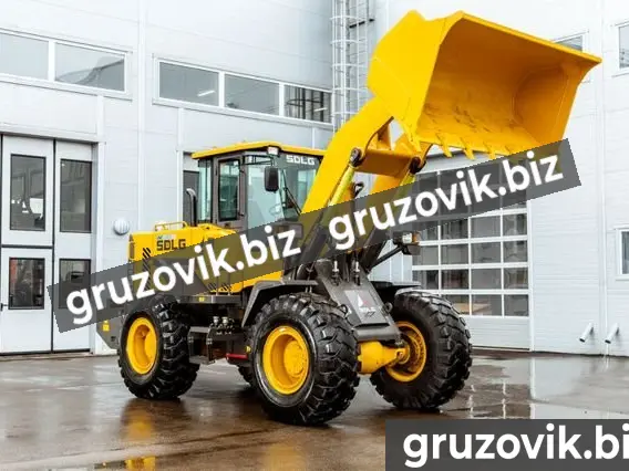 Фронтальный погрузчик SDLG LG946 2019 года новый