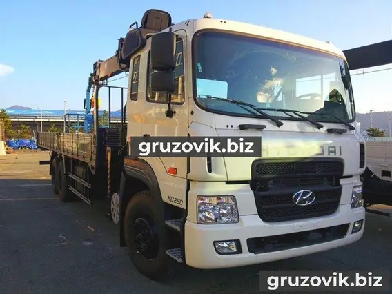Самопогрузчик Hyundai HD250 2018 года новый