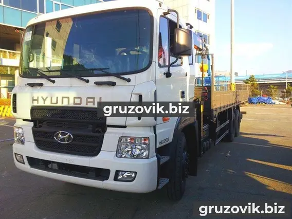 Самопогрузчик Hyundai HD250 2018 года новый фото 4