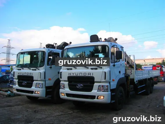 Самопогрузчик Hyundai HD250 2018 года новый фото 2