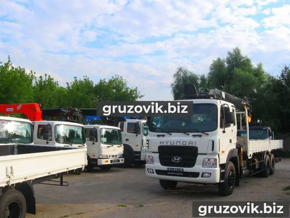 Самопогрузчик Hyundai HD250 2018 года новый фото 7