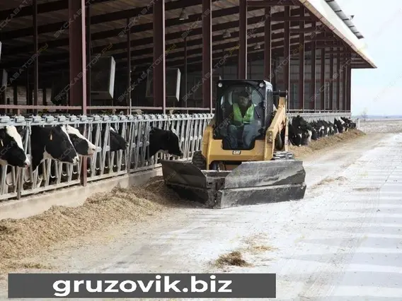Фронтальный погрузчик Caterpillar 242D 2018 года б/у фото 8