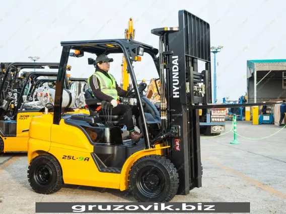 Вилочный погрузчик Hyundai 25L 2018 года новый фото 2