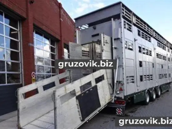 Скотовоз Pezzaioli SBA31 2018 года б/у