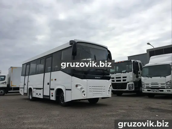 Междугородний автобус Isuzu ELF 9.5 2018 года новый