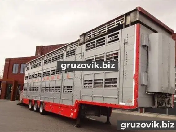 Скотовоз Pezzaioli SBA32 2007 года б/у