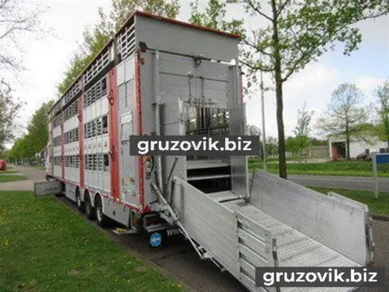 Скотовоз Pezzaioli SBA 62 U 2011 года б/у