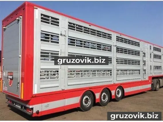 Скотовоз Pezzaioli PLAVAC 2009 года б/у