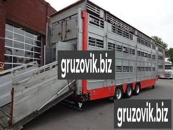 Бортовой Pezzaioli SBA32 2007 года б/у фото 3