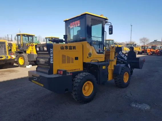 Фронтальный погрузчик Fukai ZL918 2018 года новый фото 10