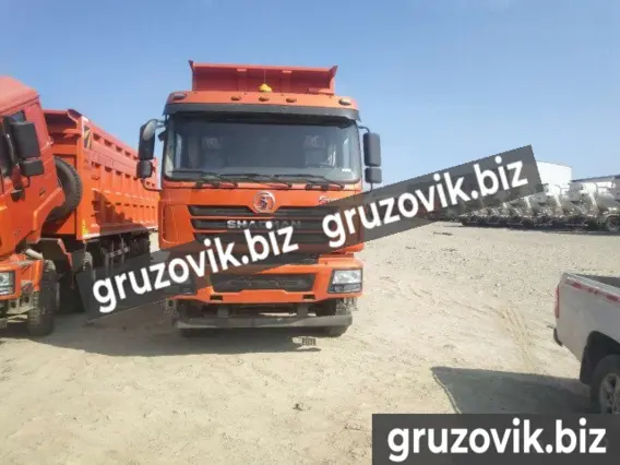 Самосвал Shacman SX3318DT366 2020 года новый фото 13