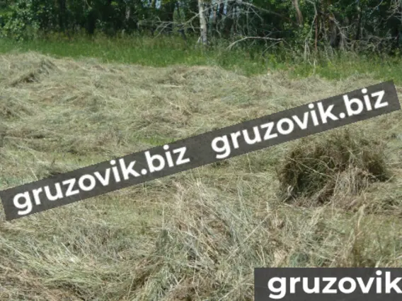 Грабли ГВВ 6,0М 2020 года новый фото 11