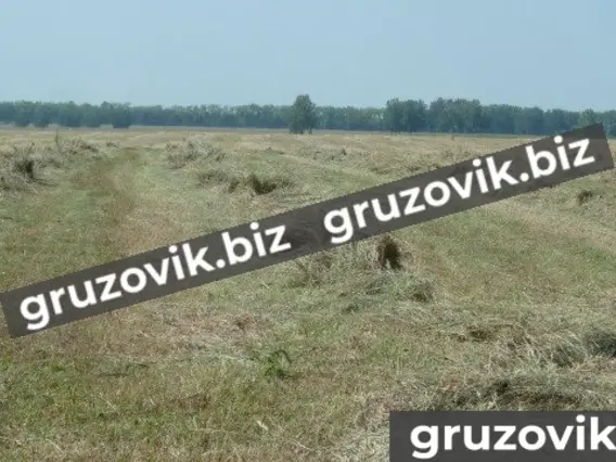 Грабли ГВВ 6,0М 2020 года новый фото 19