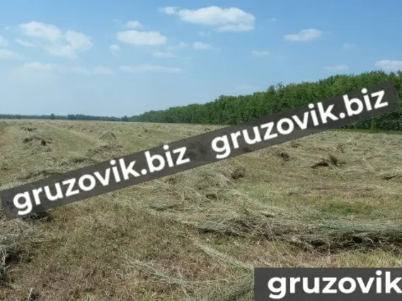 Грабли ГВВ 6,0М 2020 года новый фото 20