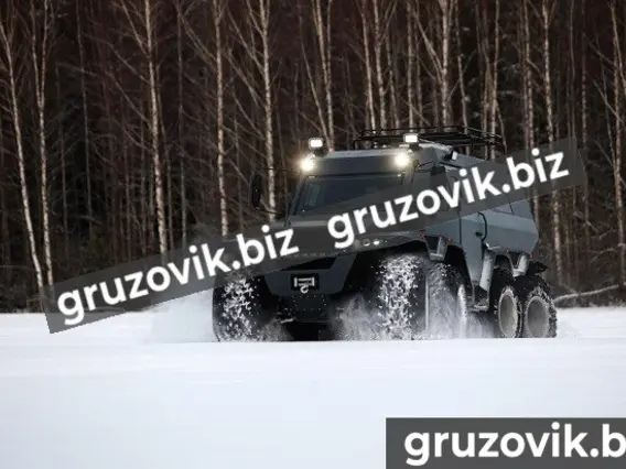 Грузопассажирский автомобиль ШАМАН X-TRIM 2020 года новый фото 2