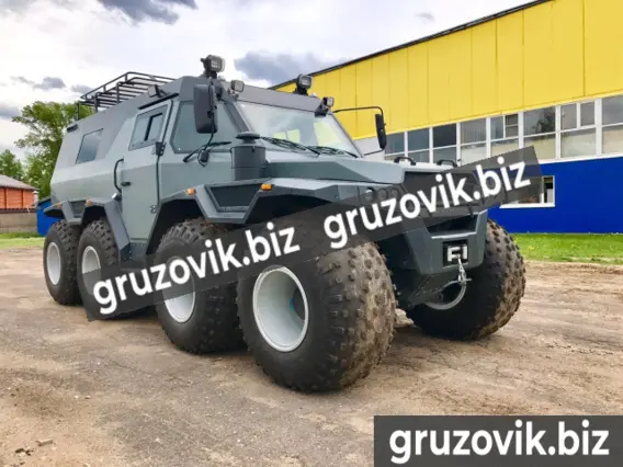 Грузопассажирский автомобиль ШАМАН X-TRIM 2020 года новый фото 4