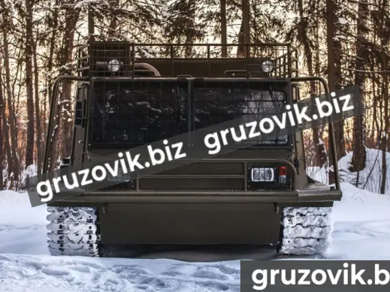 Грузопассажирский автомобиль МСГ 27 2019 года б/у фото 3
