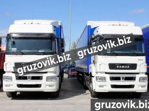 Тягач Камаз 5490 NEO 2019 года новый фото 12