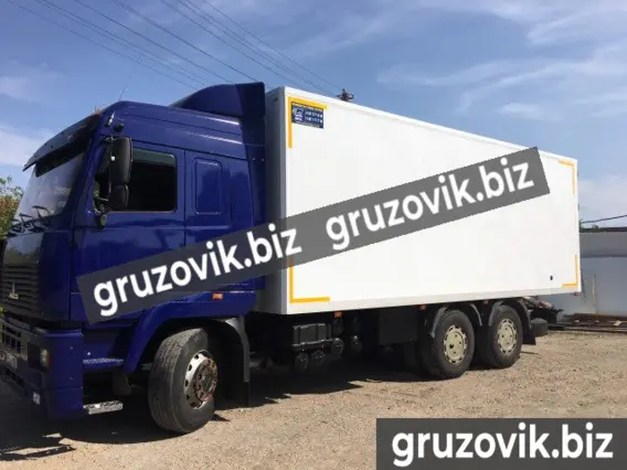 Бортовой ТЕРРА АВТО schmitz 2020 года новый фото 16