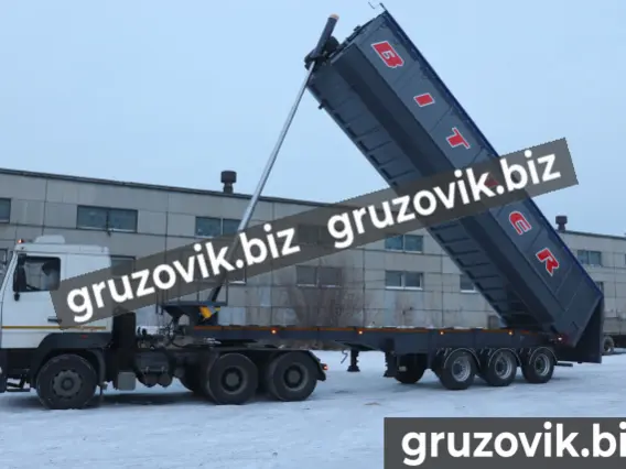 Самосвальный полуприцеп Bitter Bitter 2020 года новый фото 3