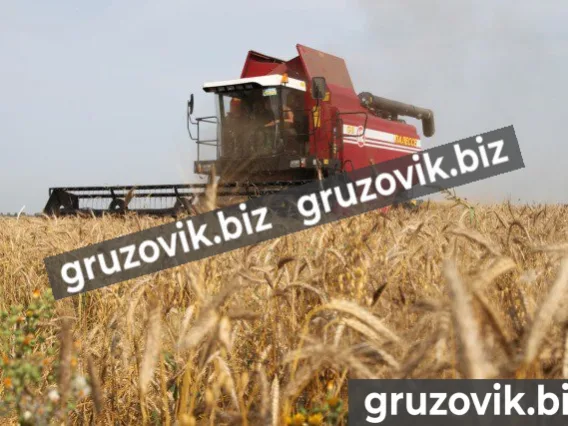 Комбайн кзс-1218 палессе GS12 2019 года новый