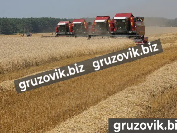 Комбайн кзс-1218 палессе GS12 2019 года новый фото 5