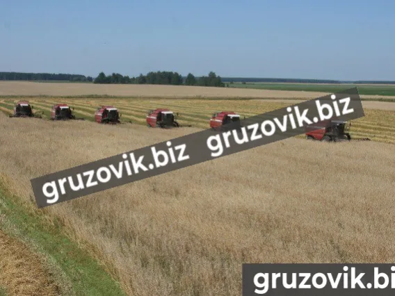 Комбайн кзс-1218 палессе GS12 2019 года новый фото 6