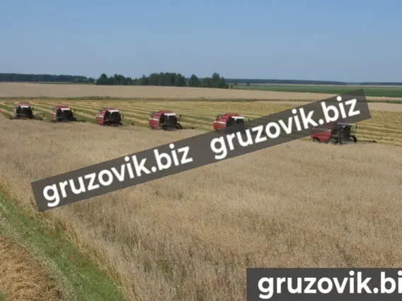 Комбайн кзс-1218 палессе GS12 2019 года новый фото 6
