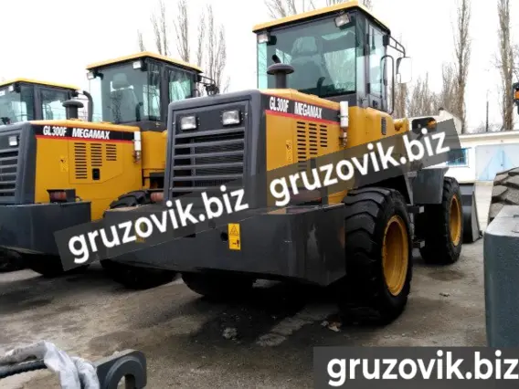 Фронтальный погрузчик MegaMax GL 300H 2020 года новый фото 9